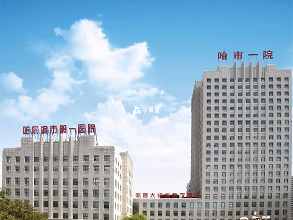 哈尔滨市第一医院是三甲医院