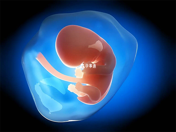 胎儿发育过程中出现异常