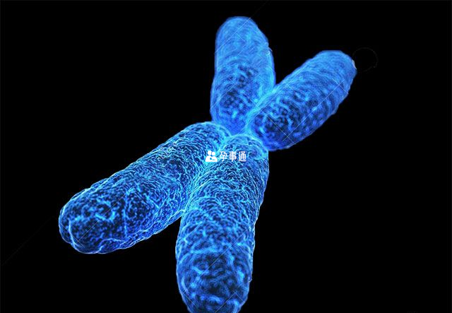 专家怀疑罗素综合征和7号、11号染色体有关