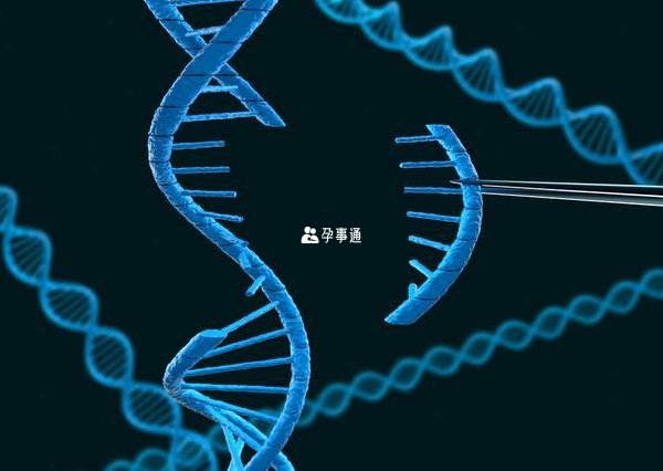 22號染色體有600個基因