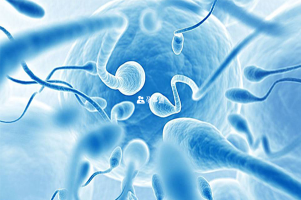 染色体异常会导致胎儿患病
