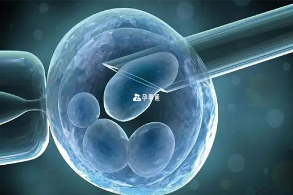 孕前基因检测能够阻断遗传疾病的传递