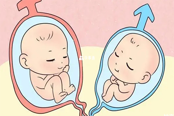 俄罗斯试管婴儿双胞胎几率