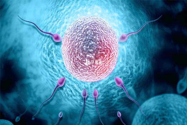 4AA囊胚属于优质胚胎