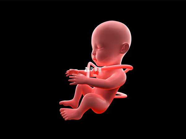 四维彩超能够显示未出生的宝宝的实时动态活动图像