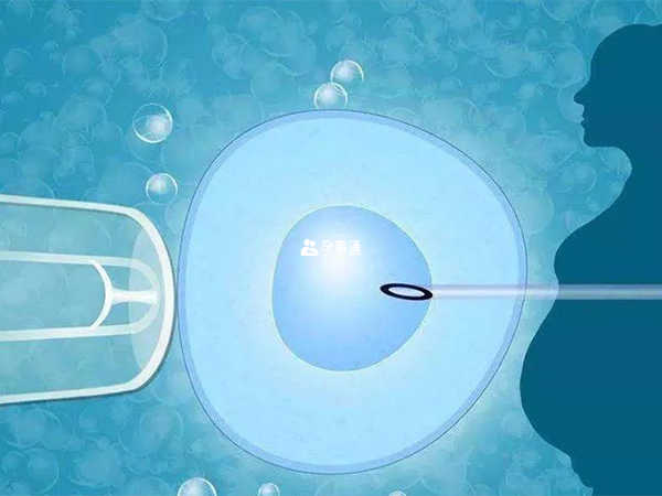 雪诺酮塞太深一般不会影响胚胎着床