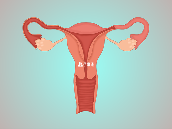 克罗米芬可能导致卵巢早衰 