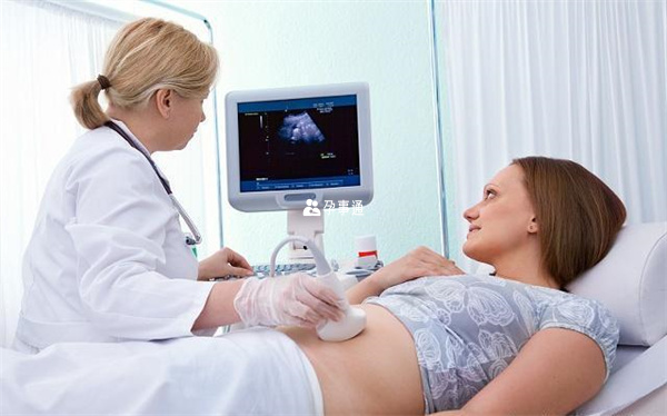 排卵期同房女性受孕率高