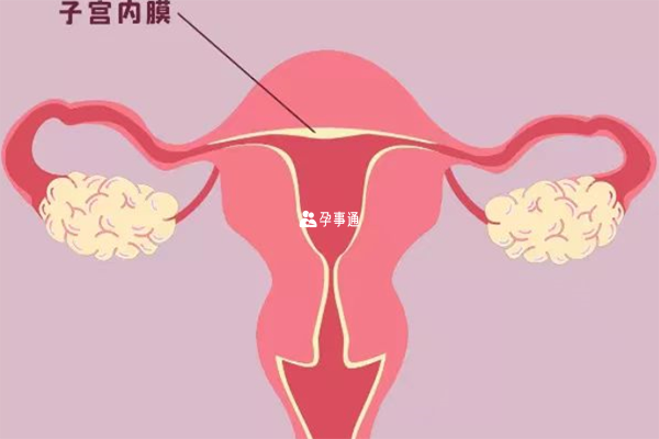 自然周期调内膜后续需要雌激素和孕激素