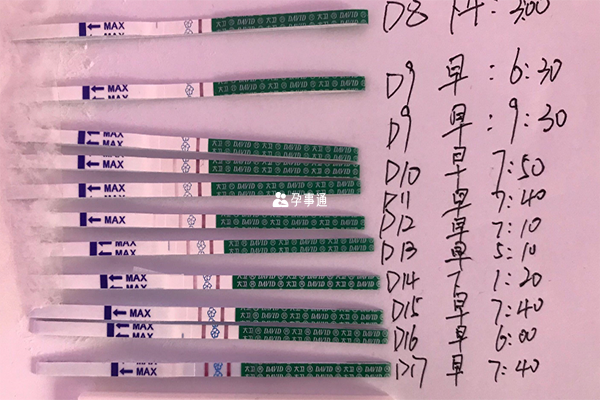 試管移植後驗孕介紹