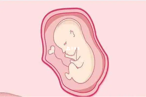 9细胞1级胚胎是优质胚胎是可以用于养囊的