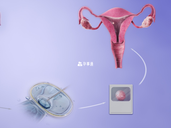 一般8c4胚胎都是不用于移植的