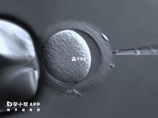 四级胚胎是最差的