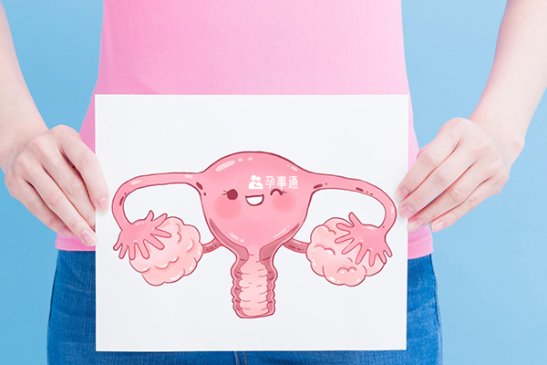 卵巢发育低下是雌二醇下降原因之一