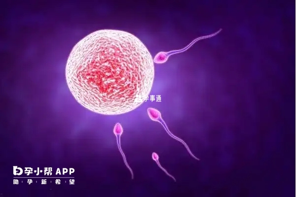 促排卵后没优势卵泡多见于多囊卵巢综合征的患者