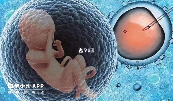 怀孕12周胚胎才稳定