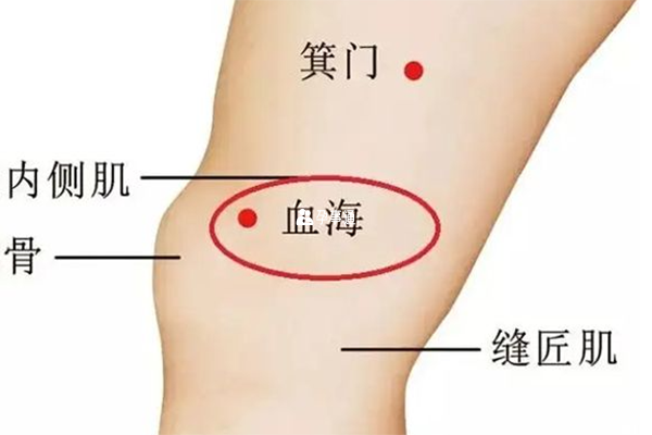 催经血海穴位于大腿内侧