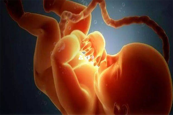 宝宝尿液会通过母体胎盘血液循环形成