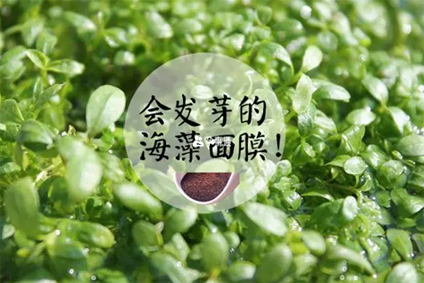 敏感脆弱肌膚人群不宜敷面膜