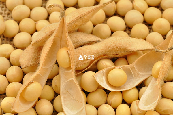吃黄豆能增加促卵泡生成素