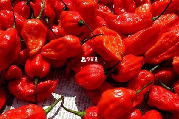 过量吃辣椒会引起脾胃功能失调