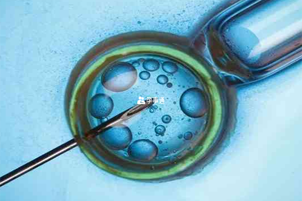 养囊第六天胚胎可能形成了囊胚