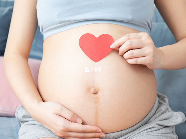 测排卵计算器能指导备孕