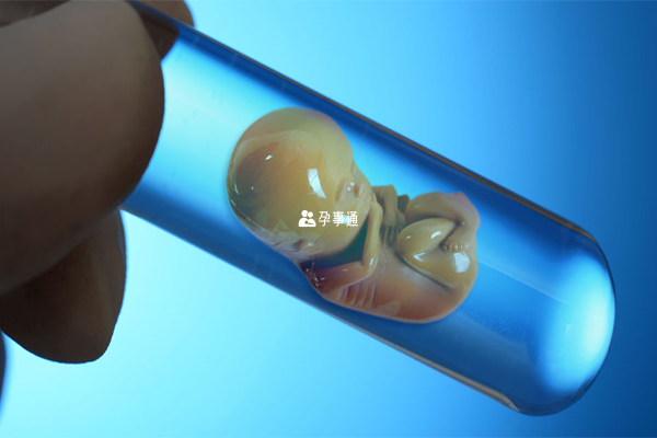 培养囊胚要5-7天