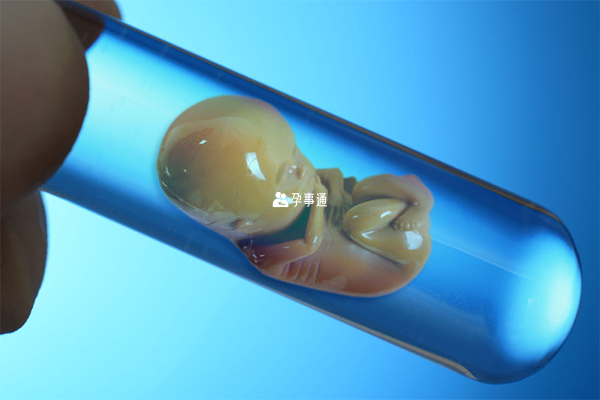 胚胎会在宫腔内发育280天