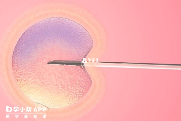 3bb囊胚成功率分析