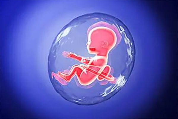 囊胚移植出现胎停时间
