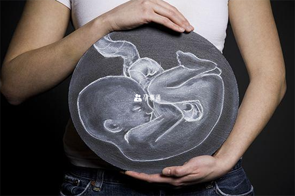 囊胚移植可能会出现胎停