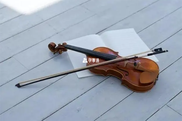 小提琴售价在上百到上万元之间