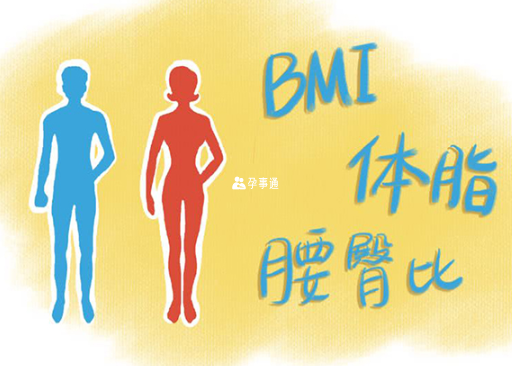 bmi的计算与身高和体重有关
