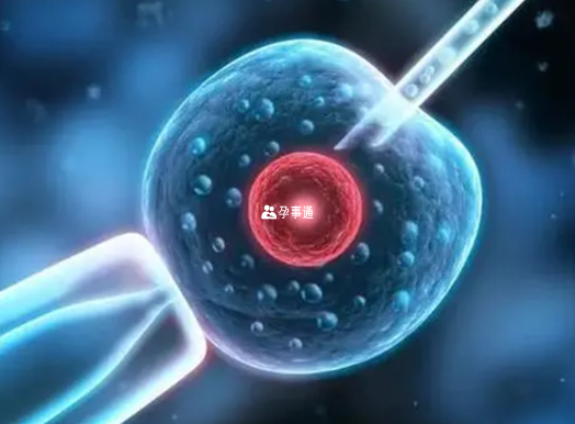4bc囊胚成功率在20%～30%之间