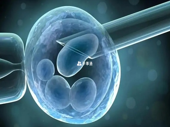移植2个胚胎的成功率在60%左右