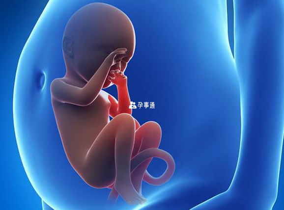 胎动频繁或者过少提示可能存在缺氧
