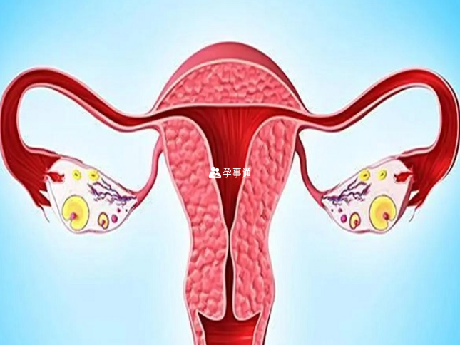 女性卵巢功能衰退会导致出现空泡