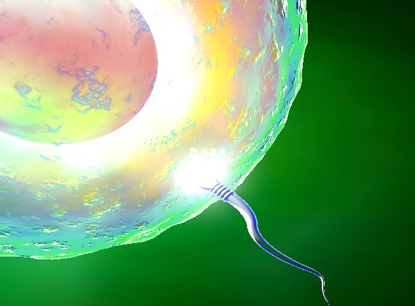 人工授精是比较接近自然受孕的一种助孕方式