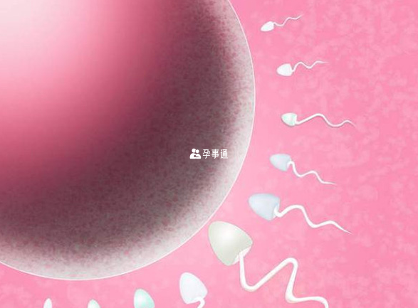 卵泡黄素化会导致怀孕困难