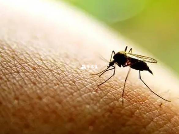 黄热病会通过蚊虫叮咬传播