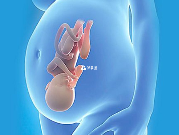 每个孕妇的体质不同出现的孕期症状也不同