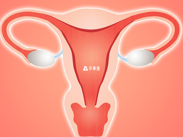AMH检测可以判断卵巢功能