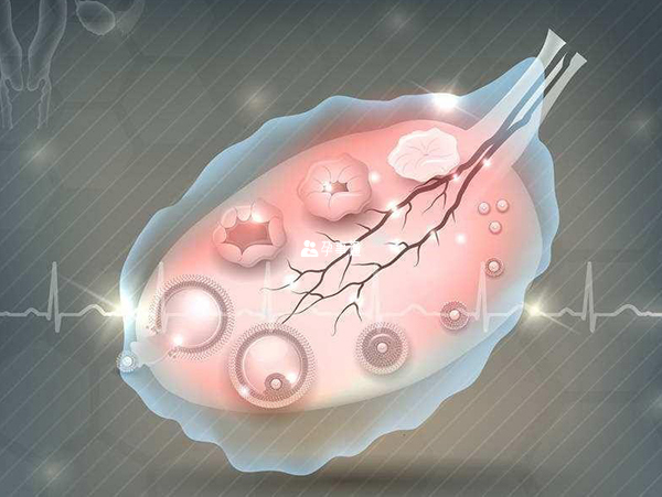 多囊卵巢患者可以做试管婴儿