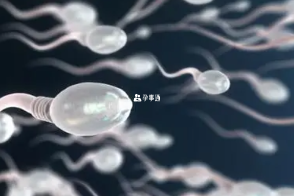 胚胎染色体13三体原因解析