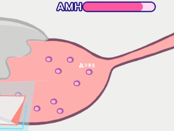 amh是评估卵巢功能的一个指标