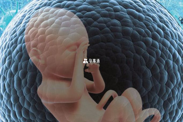 南京私立生殖中心名单一览