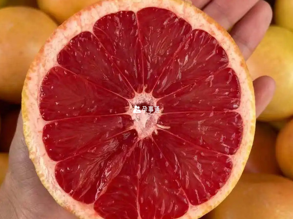 减肥人士可以多吃葡萄柚