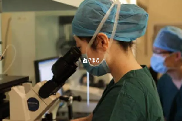 宁波妇儿医院试管移植成功率一览