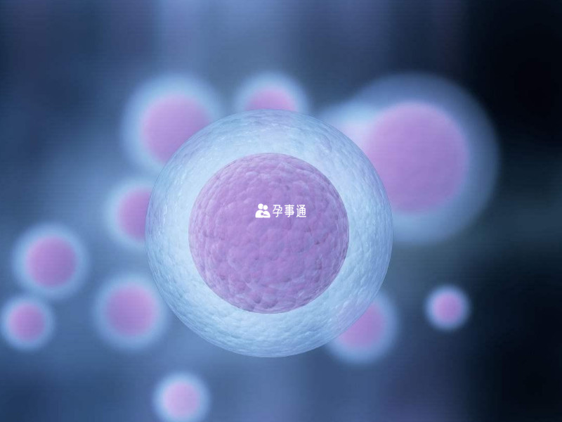 AMH卵泡数量预测